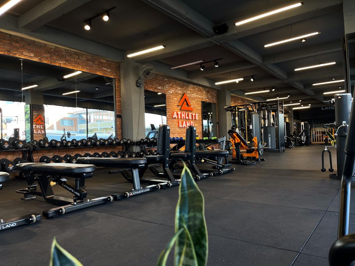 Athlete Land Training Club premium gym interior